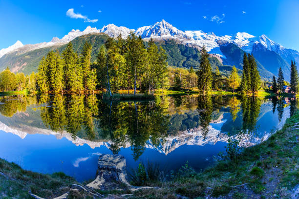 istock Stump on the shore of the lake 912682522