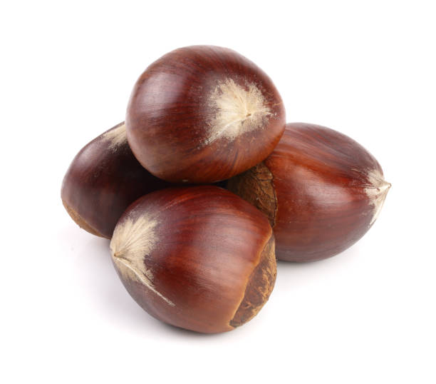 istock sweet chestnut isolated on white background 912682602