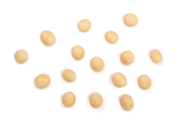 istock soybeans isolated on white background top view 912683246
