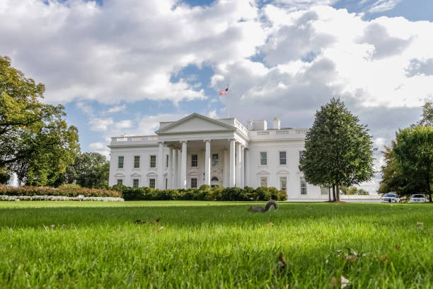 istock White House North Facade Lawn and Squirrel in Washington, DC in 4k/UHD 912688476