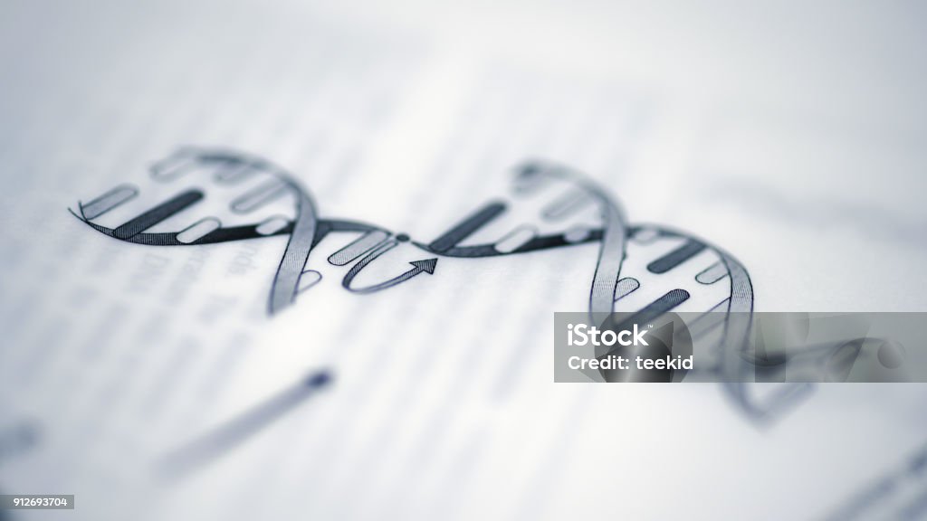 DNA Structure Medical Concept Helix Stock Photo