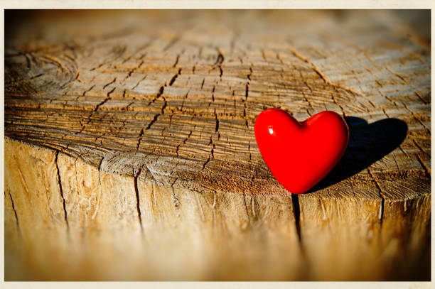 istock Red Heart lies on a fractured stump. 912693898