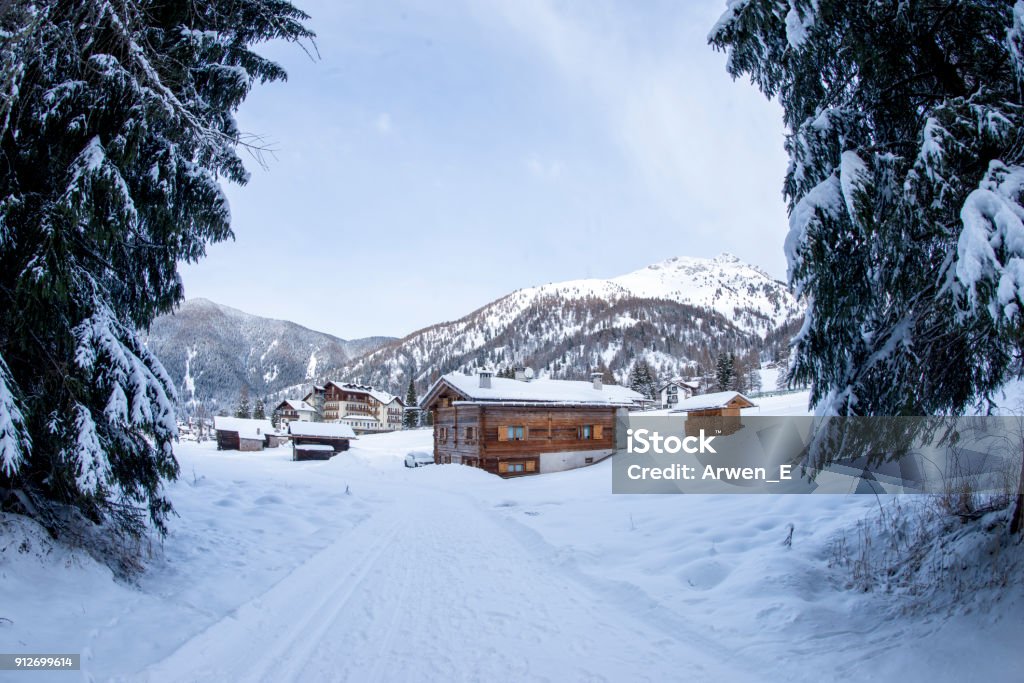 Snowy winter landscapes of Italian Dolomites Italian landscapes and woods of dolomites with wild deers in winter, covered up with snow Winter Stock Photo