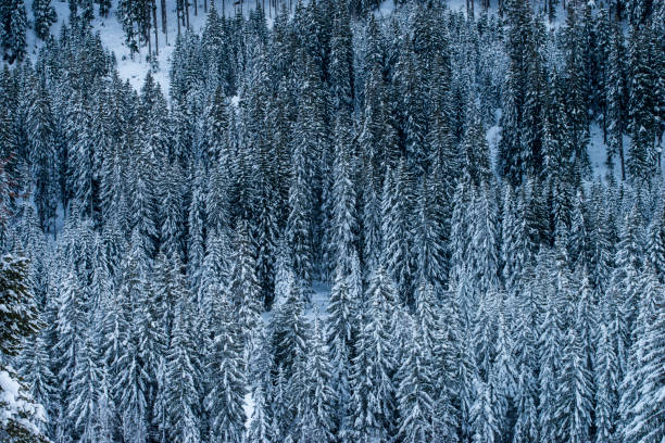 Snowy winter landscapes of Italian Dolomites stock photo