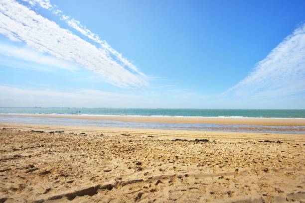 istock North sea shore in Vlissingen, the Netherlands 912700478
