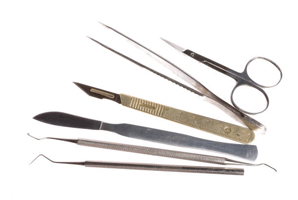 istock scalpel and other medical instruments isolated on white, no shadow 912708950