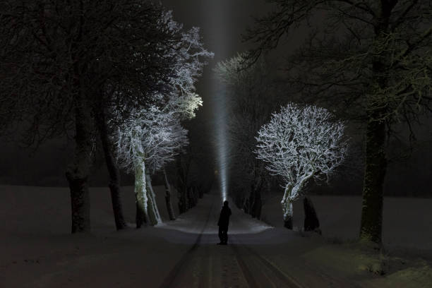 istock Man standing outdoors at night in tree alley shining with flashlight in Swedish winter landscape 912711624