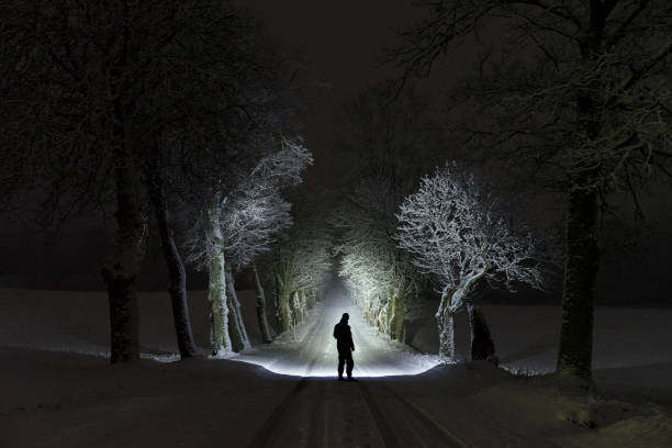 Man standing outdoors at night in tree alley shining with flashlight in Swedish winter landscape