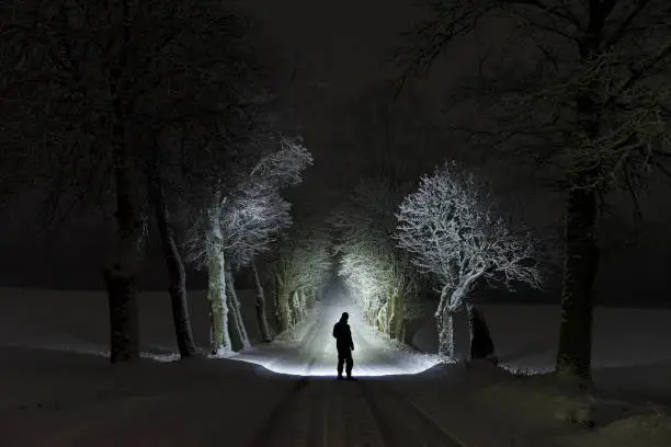 Photo of Man standing outdoors at night in tree alley shining with flashlight in Swedish winter landscape