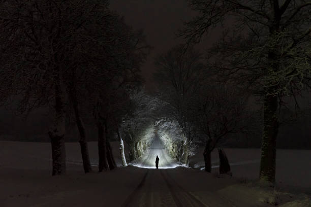 istock Man standing outdoors at night in tree alley shining with flashlight in Swedish winter landscape 912711632