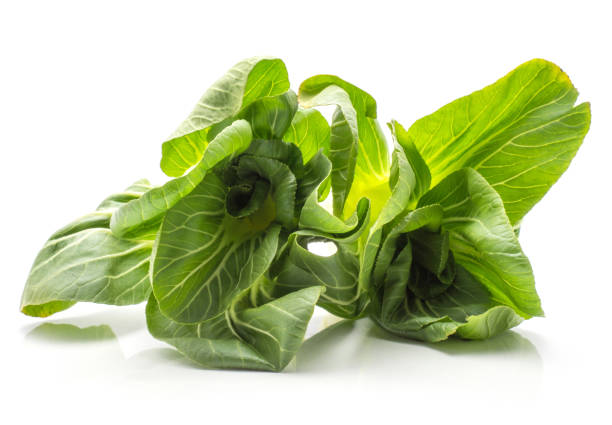 fresh bok choy isolated on white - brassica rapa chinensis imagens e fotografias de stock