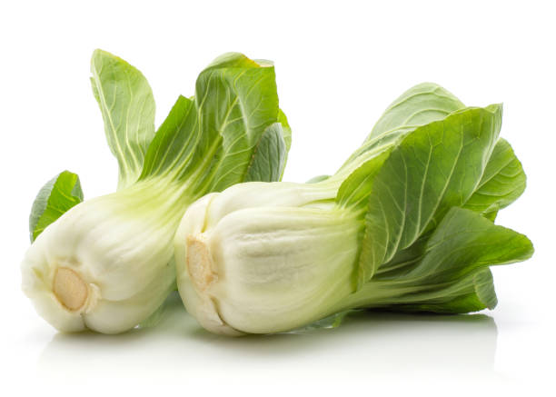 fresh bok choy isolated on white - brassica rapa chinensis imagens e fotografias de stock