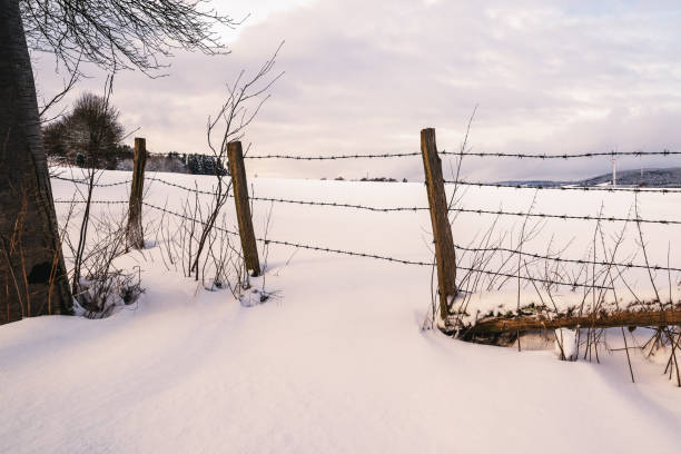 Barbed wire fence in the snow, Sauerland, Germany