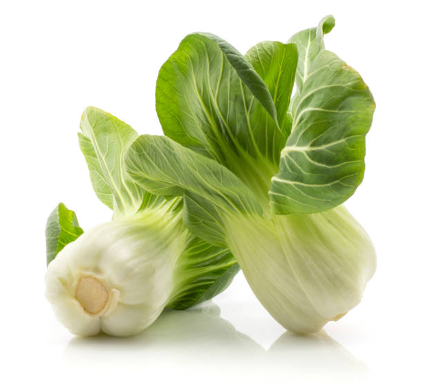 fresh bok choy isolated on white - brassica rapa chinensis imagens e fotografias de stock