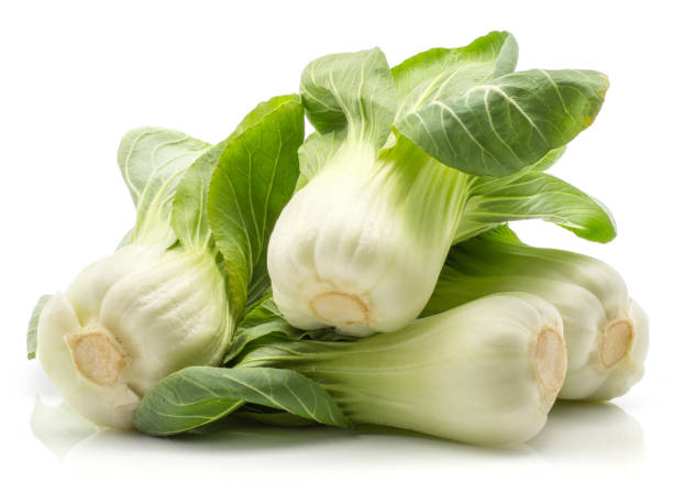 fresh bok choy isolated on white - brassica rapa chinensis imagens e fotografias de stock