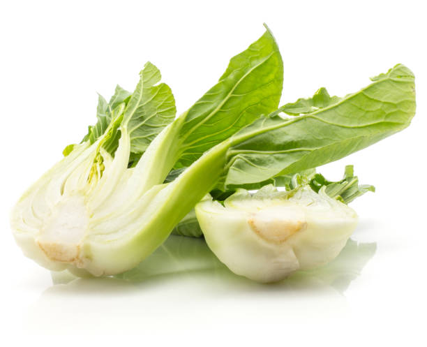 fresh bok choy isolated on white - brassica rapa chinensis imagens e fotografias de stock