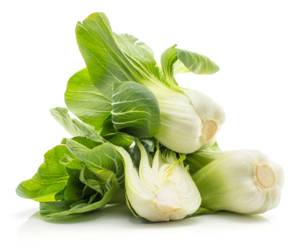 fresh bok choy isolated on white - brassica rapa chinensis imagens e fotografias de stock