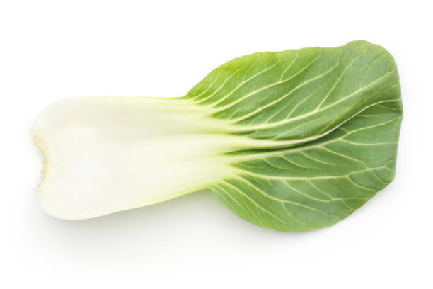 fresh bok choy isolated on white - brassica rapa chinensis imagens e fotografias de stock