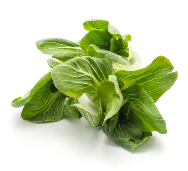 fresh bok choy isolated on white - brassica rapa chinensis imagens e fotografias de stock