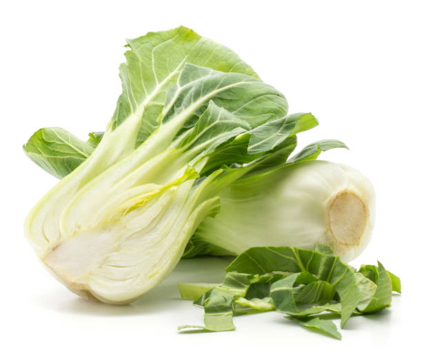 fresh bok choy isolated on white - brassica rapa chinensis imagens e fotografias de stock