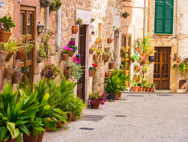 street with typical potted plants in valldemossa, spain - valldemossa imagens e fotografias de stock