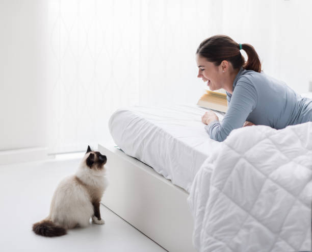 istock Lovely cat in the bedroom 912723276