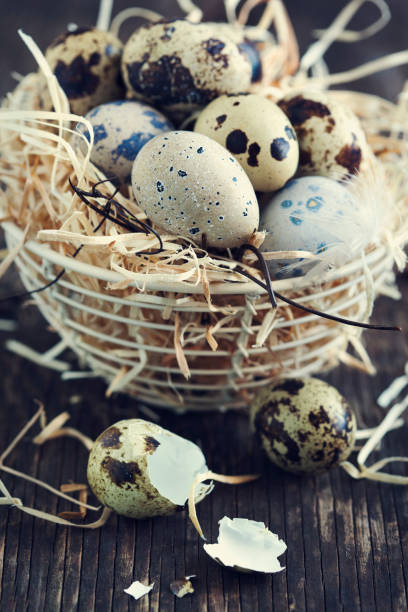 istock Quail eggs in the nest on rustic wooden background. Toned image 912723872