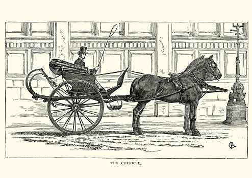 Vintage engraving of a Victorian man driving a Curricle carriage, 19th Century. A curricle was a smart, light two-wheeled chaise or 