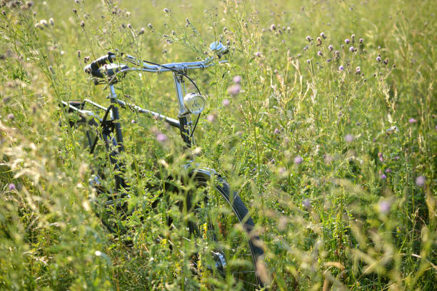 istock Bicycle on the green summer field. 912726424