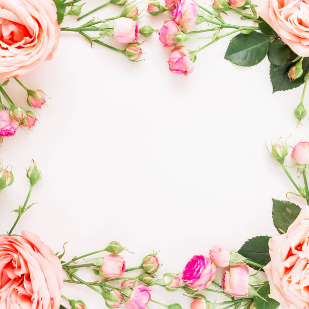 istock Floral square frame with pink roses isolated on white background. Flat lay, top view. Flowers background. 912726844