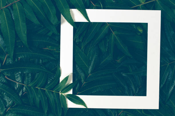 istock Creative layout made of green leaves with paper card note. Flat lay. 912733508