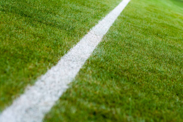 istock soccer field white line 912737964