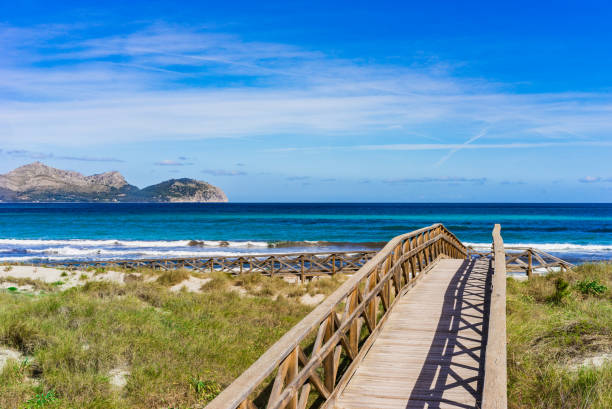 istock Wooden boardwalk to the beach 912741328