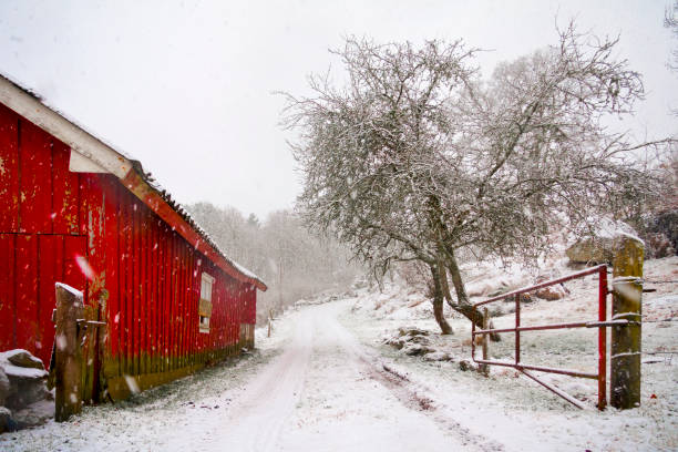 istock Old barn in a gloomy winterstorm 912741740