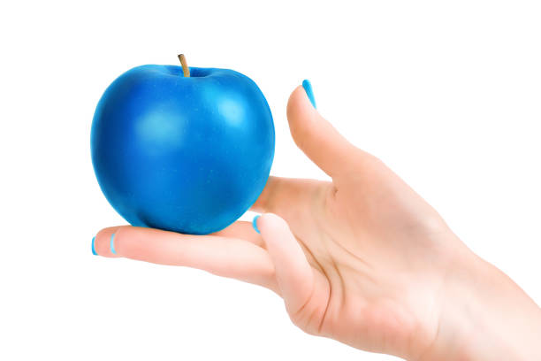 Woman hand holding blue colored apple. Isolated on white, clipping path included