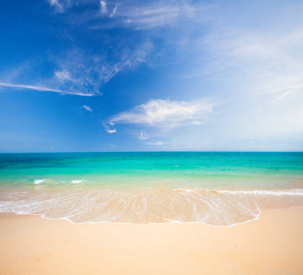 istock beach and beautiful tropical sea 912745718