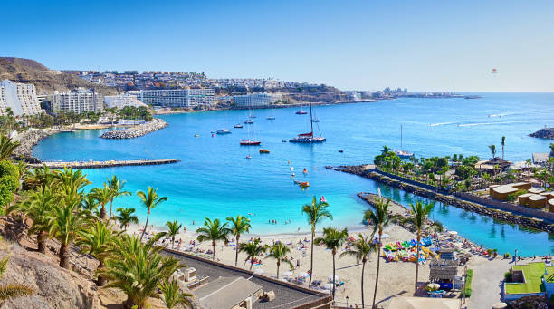 spiaggia di anfi con palme - sky travel destinations tourism canary islands foto e immagini stock