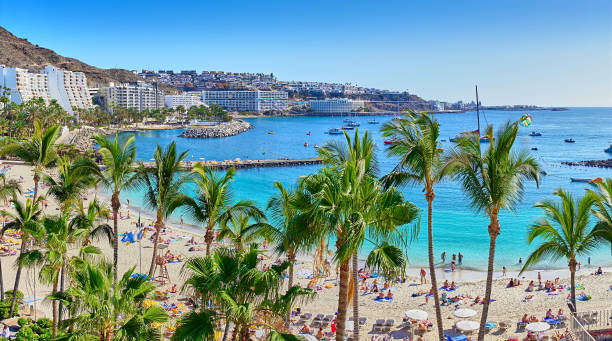 spiaggia di anfi con palme - sky travel destinations tourism canary islands foto e immagini stock