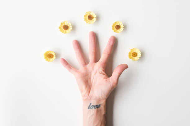 Woman'ds hand palm up with yellow flowers Directly above view of woman's outstretched hand palm up on white table with yellow everlasting daisies wrist tattoo stock pictures, royalty-free photos & images