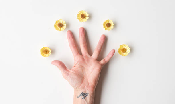 Woman's hand palm up with yellow flowers Directly above view of woman's outstretched hand palm up on white table with yellow everlasting daisies wrist tattoo stock pictures, royalty-free photos & images