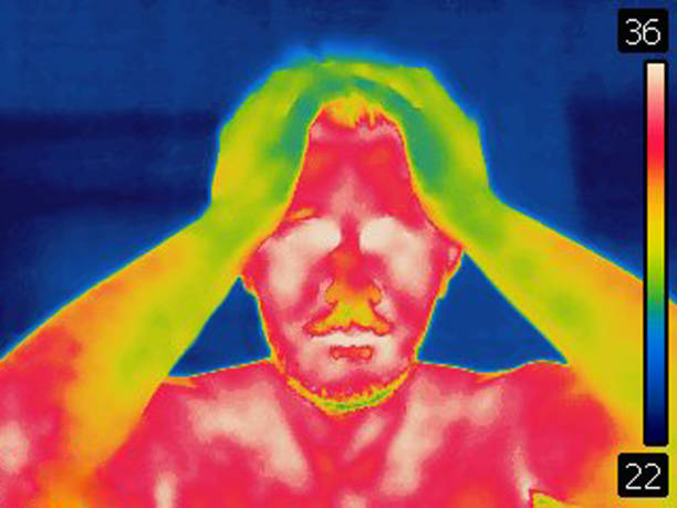 A thermal image captured by an infrared imager visualizes invisible infrared radiation, translating it into a visible color spectrum picture. It displays temperature variations across a surface, where warmer areas typically appear in reds and yellows, and cooler regions in purples and blues.  Here shows the cat under IR camera
