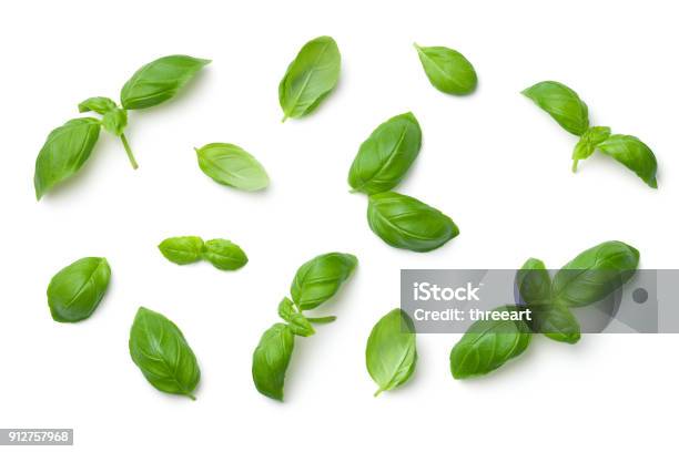 Basil Leaves Isolated On White Background Stock Photo - Download Image Now - Basil, Cut Out, Leaf