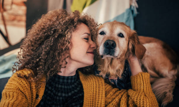 femme câlins avec son chien - retriever golden retriever dog happiness photos et images de collection