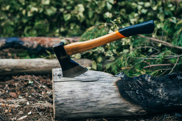 istock axe stuck in wood log fire pit on summer vacation in woods 912775910