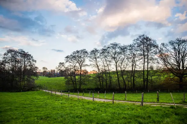 Sunset over fields of Germany one autumn, North Rhine-Westphalia region