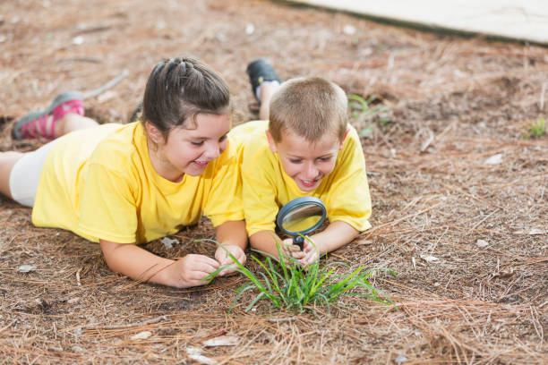 istock Two children exploring nature with magnifying glass 912778540