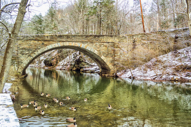 Beautiful park on winter Photo of a beautiful park on winter. Wissahickon Valley Park, Philadelphia. philadelphia winter stock pictures, royalty-free photos & images