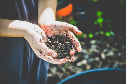 Child holds a handful of dirt, planting and gardening