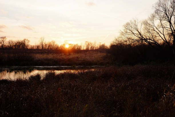 istock Autumn forest and lake in sunset. 912790390