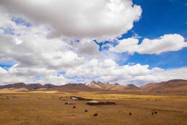istock Qinghai - Tibet Plateau scenery 912798814